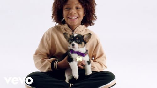 Puppy for Hanukkah Bild 1