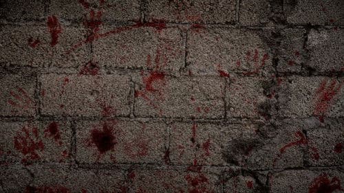 Rojo Sacrificio Bild 2