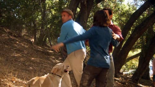 The Gold Retrievers Bild 1