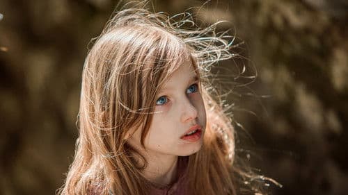 Волшебник Изумрудного города. Дорога из жёлтого кирпича Bild 8