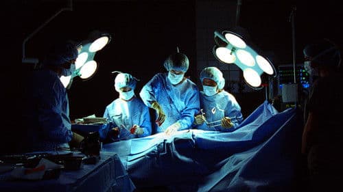 We Ate the Children Last Bild 1