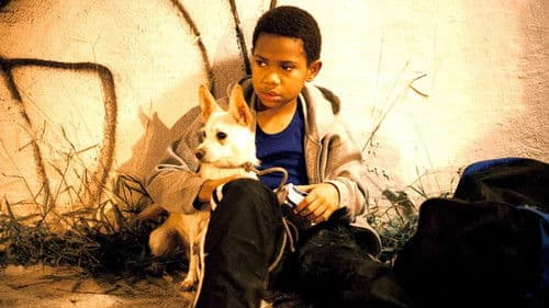 Katrina's Son Bild 1