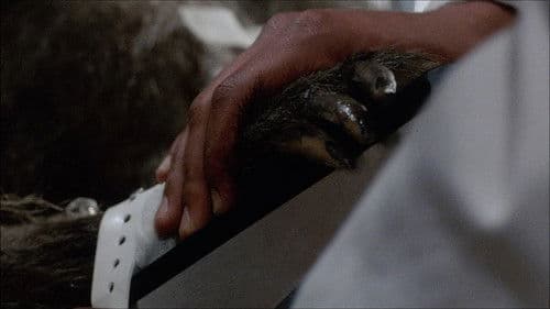 Baboon Bite Maniacs! - "Primal Rage" 35 Years Later Bild 1