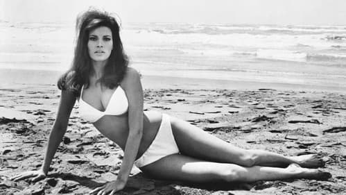 Die Platinbande Bild 3