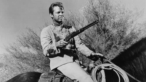 Goldtransport durch Arizona Bild 3