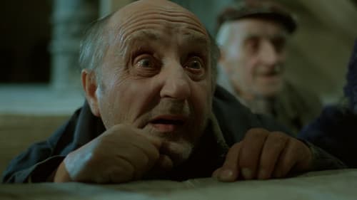 Prognoza pogody Bild 8