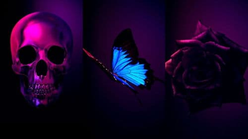 Too Old to Die Young Bild 6