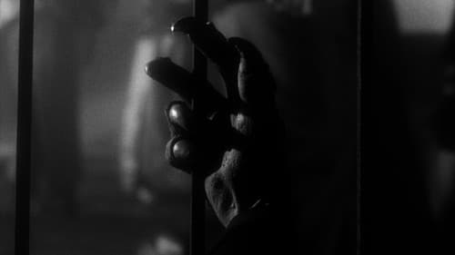 Dark Intruder Bild 7