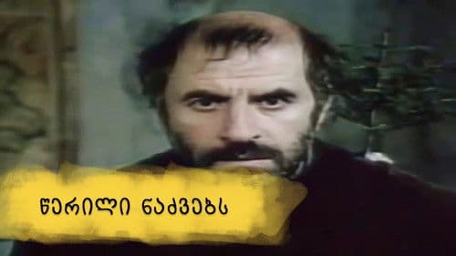 წერილი ნაძვებს Bild 1