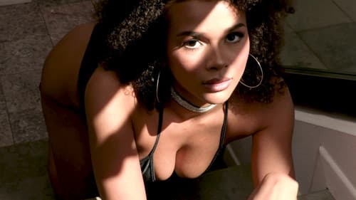 Black Beauties 3 Bild 1