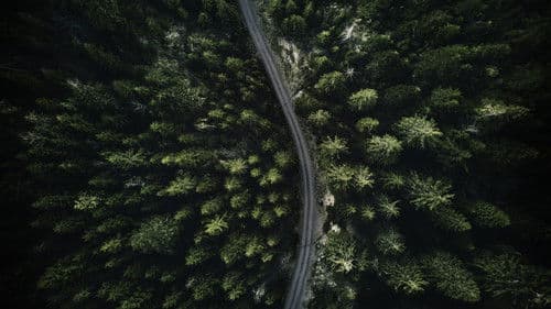 The Wonderland Murders Bild 1