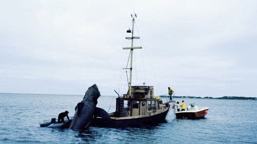 In the Teeth of Jaws Bild 1