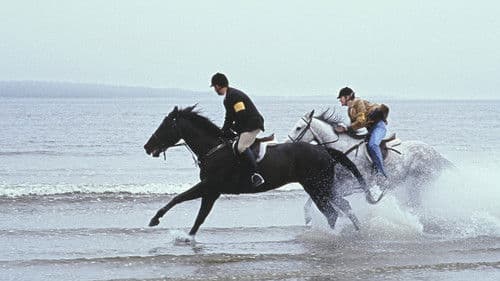 Virginias großes Rennen Bild 1