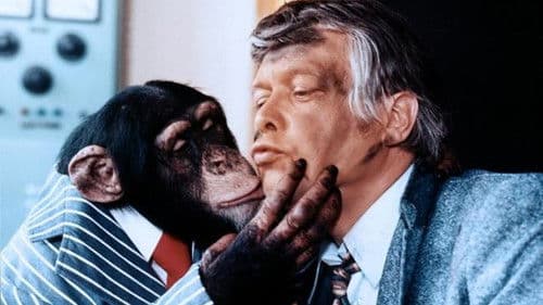 Meine Tochter - Deine Tochter Bild 1