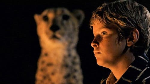 Duma - Mein Freund aus der Wildnis Bild 2