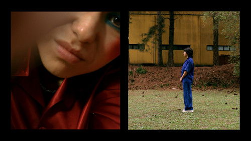 Lembrar de Mim Bild 3