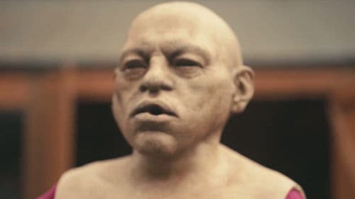 The Exhibitionist Bild 2