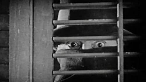 One Exciting Night Bild 4