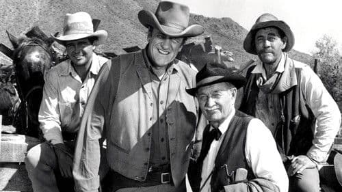 Rauchende Colts Bild 3