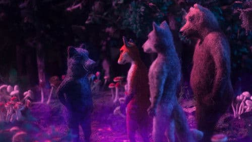 Ježeva kuća Bild 2