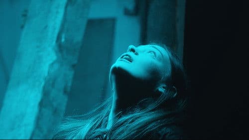 First Contact Bild 1