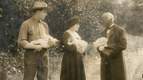 Little Miss Hoover Bild 1