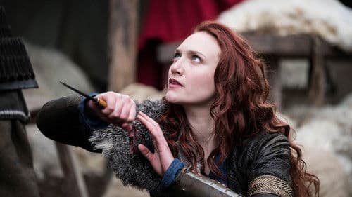 Viking Destiny Bild 7