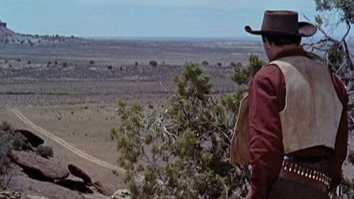 Karawane westwärts Bild 3