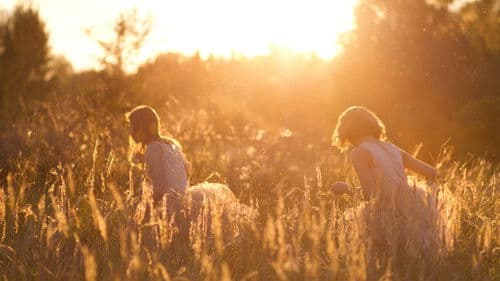 Der Sommer von Sangailé Bild 5