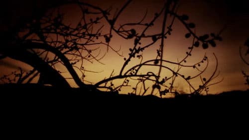 Virgin People Bild 6