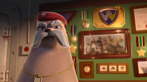 Das Seehund-Team Bild 8