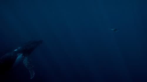 Living on the Threshold Bild 1