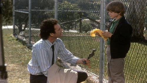 Summer Camp Nightmare Bild 2