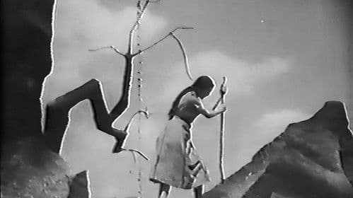 Der steinerne Reiter Bild 1