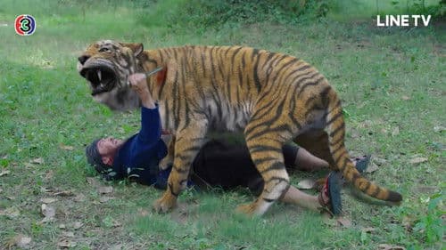 แก้วกลางดง Bild 4