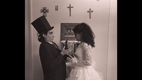 Straight to the Moon! Bild 1