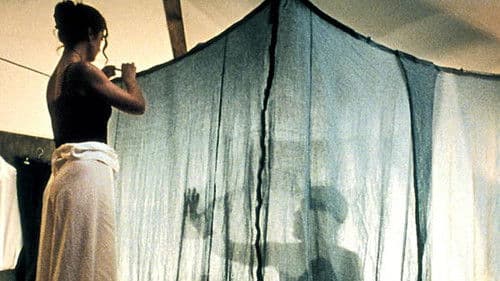 20 nuits et un jour de pluie Bild 3