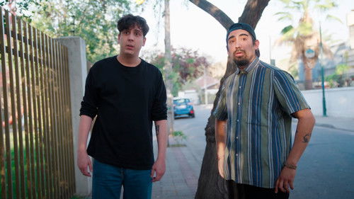 Proyecto Lupa: Especial Bild 1