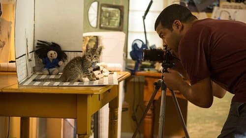 Keanu - Her mit dem Kätzchen! Bild 2