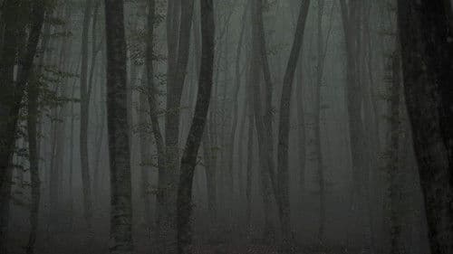 Καταφύγιο II: Το μονοπάτι του πάγου Bild 1