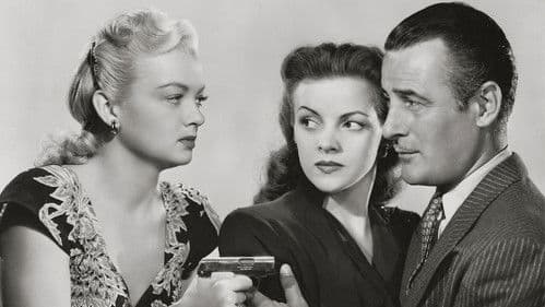 The Falcon's Adventure Bild 1