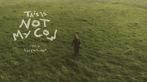 這不是我的牛 Bild 3