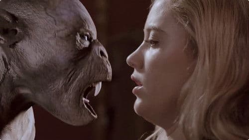 Flying Monkeys Bild 6