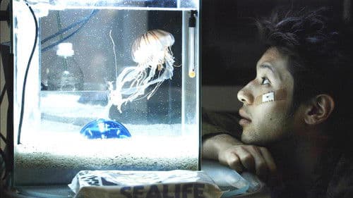 アカルイミライ Bild 2