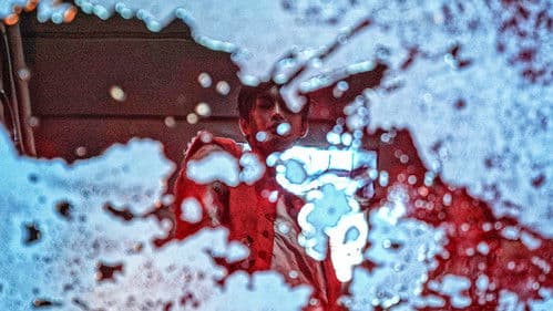 Project Wolf Hunting Bild 3