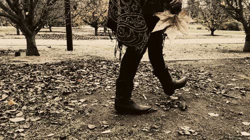 Meshes of an Autumn Afternoon Bild 3