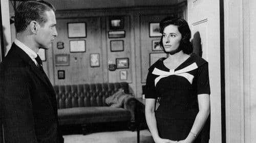 Von der Terrasse Bild 2