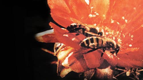 Geheimnisse des Lebens Bild 1