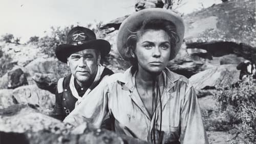 Karawane westwärts Bild 2