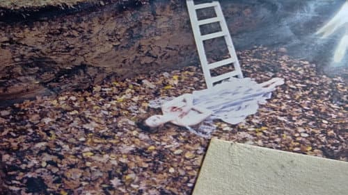 花を摘む少女と虫を殺す少女 Bild 8